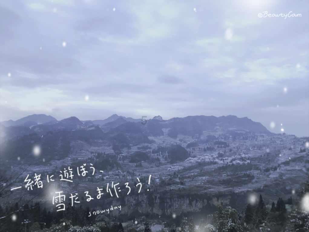 虫虫助手下载