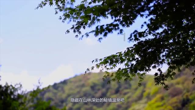 探索全量外卖什么意思?的热门话题-全量外卖什么意思?网平台