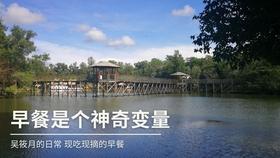 春雨直播app