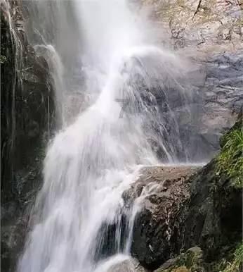雷竞技比分